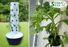 Soluzioni idroponiche per il tuo giardino o terrazzo.